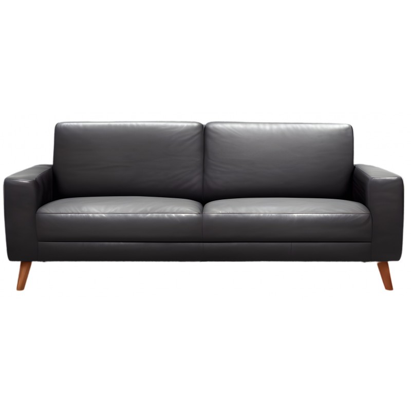 Hjort Knudsen Slagelse sofa Semianilin læder