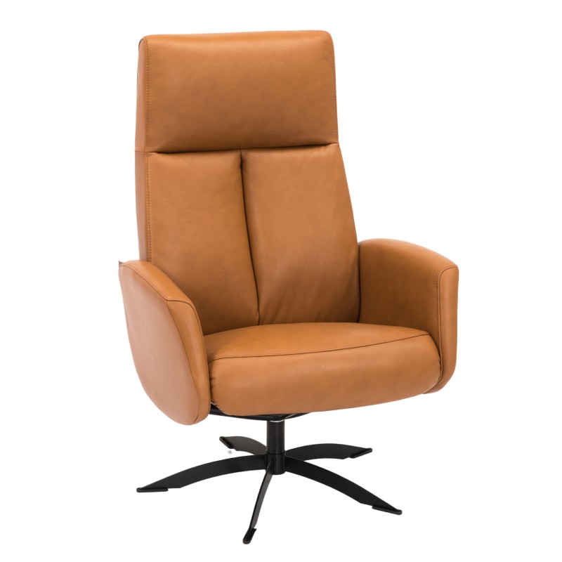 Hjort Knudsen Mike lænestol