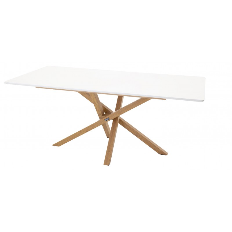 Piazza Spisebord - Natur og Hvid billede