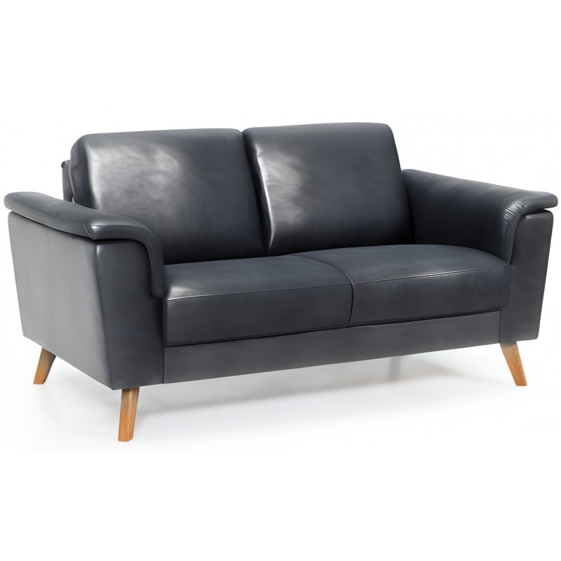 Ballerup 2 pers lædersofa