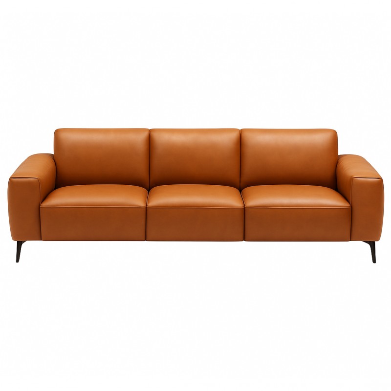 Hjort Knudsen Assens Lædersofa