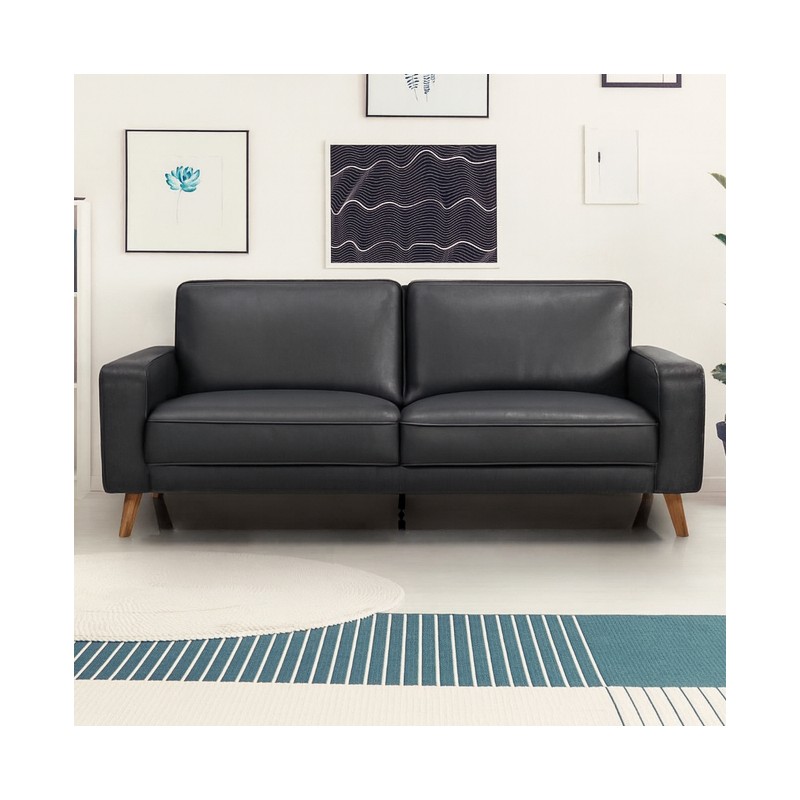 Hjort Knudsen Hvidovre 2 personers lædersofa